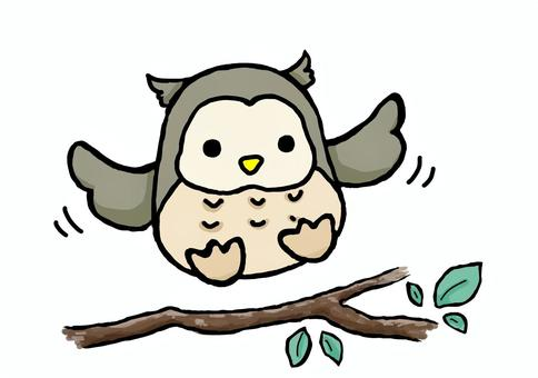 cuteOwl